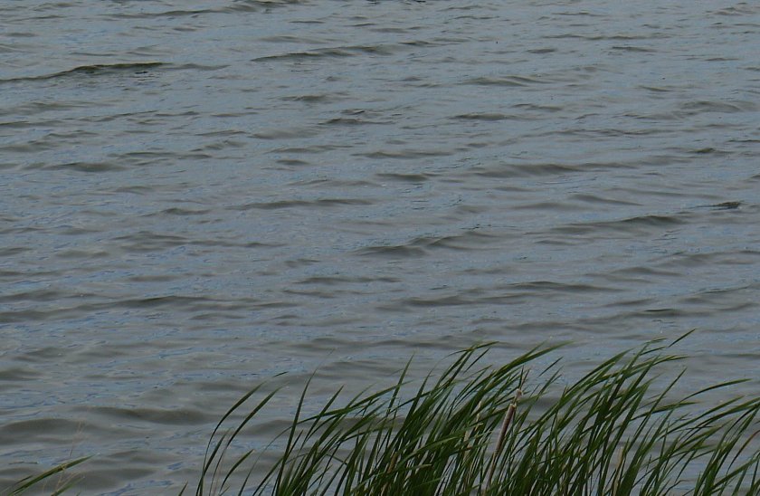water_waves