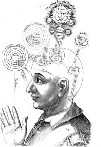 consciousness consciousness
